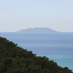 Isola di Gorgona